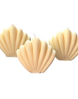 The Scallop Shell