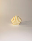 The Scallop Shell