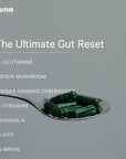 Gut Therapy Capsules